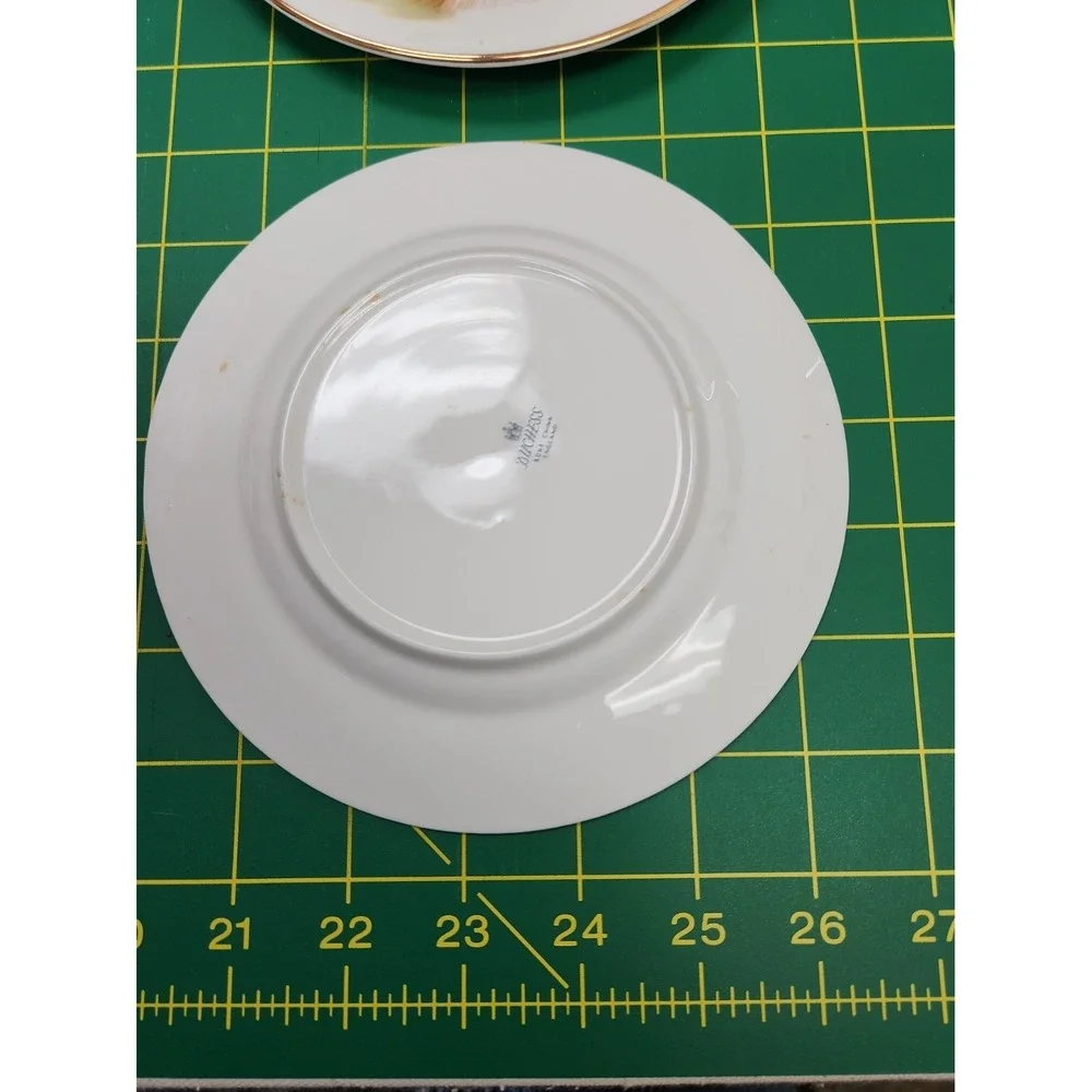 Set of 2 Royal Adderley 6.5